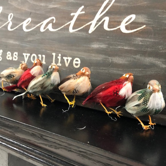 Set of 6 vintage decorative feathered birds - Picture 2 of 7